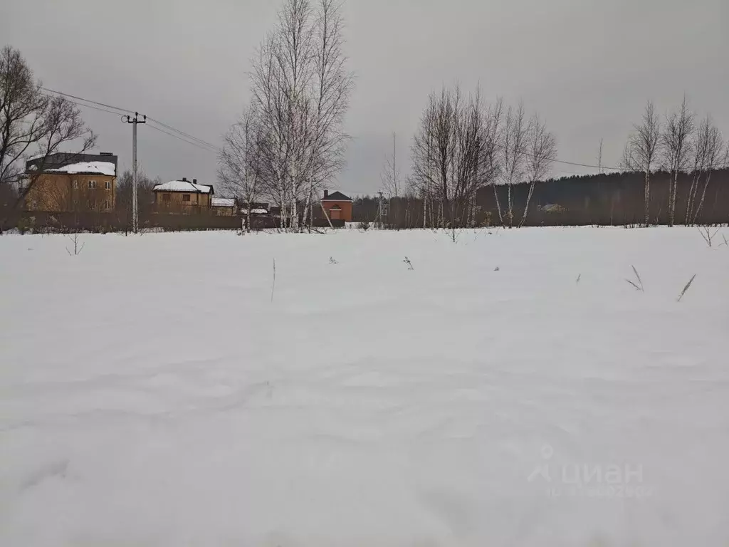 Участок в Московская область, Воскресенск городской округ, с. ... - Фото 1