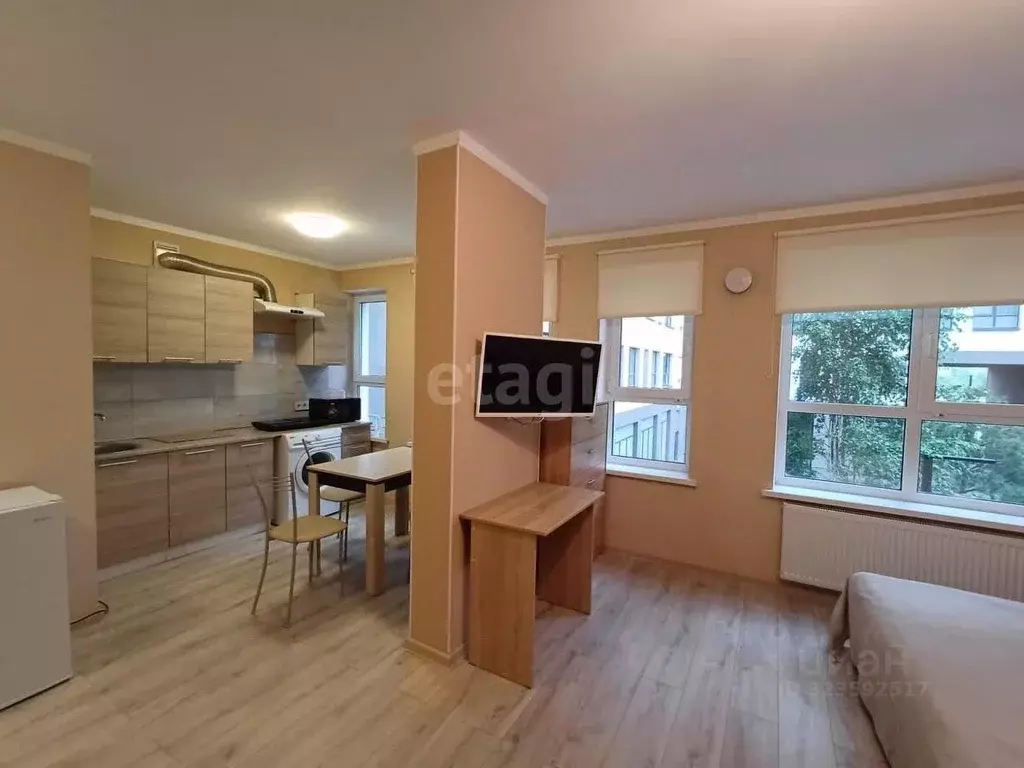 Студия Свердловская область, Екатеринбург ул. Евгения Савкова, 29 ... - Фото 1