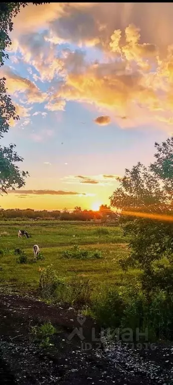 Участок в Ростовская область, Азовский район, с. Круглое ул. Горького ... - Фото 2