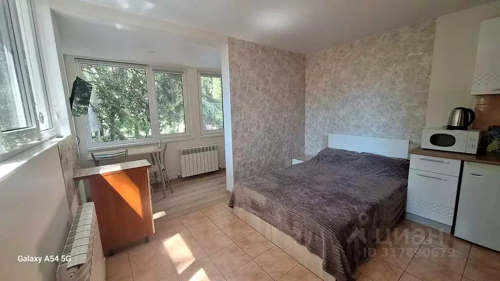 Студия Крым, Ялта ул. Бирюкова, 6А (20.0 м) - Фото 0