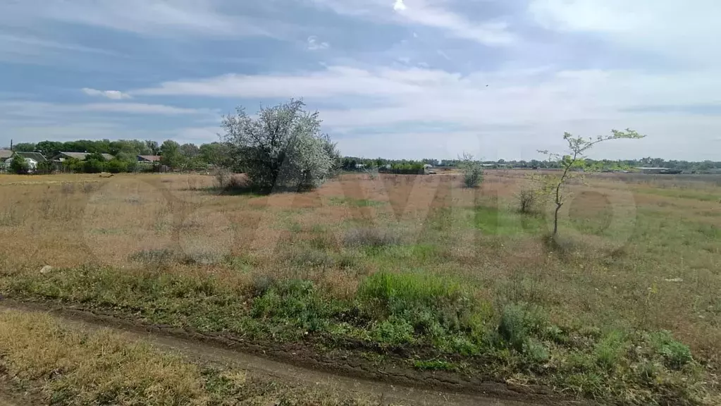 Участок 37,2 сот. (СНТ, ДНП) - Фото 1