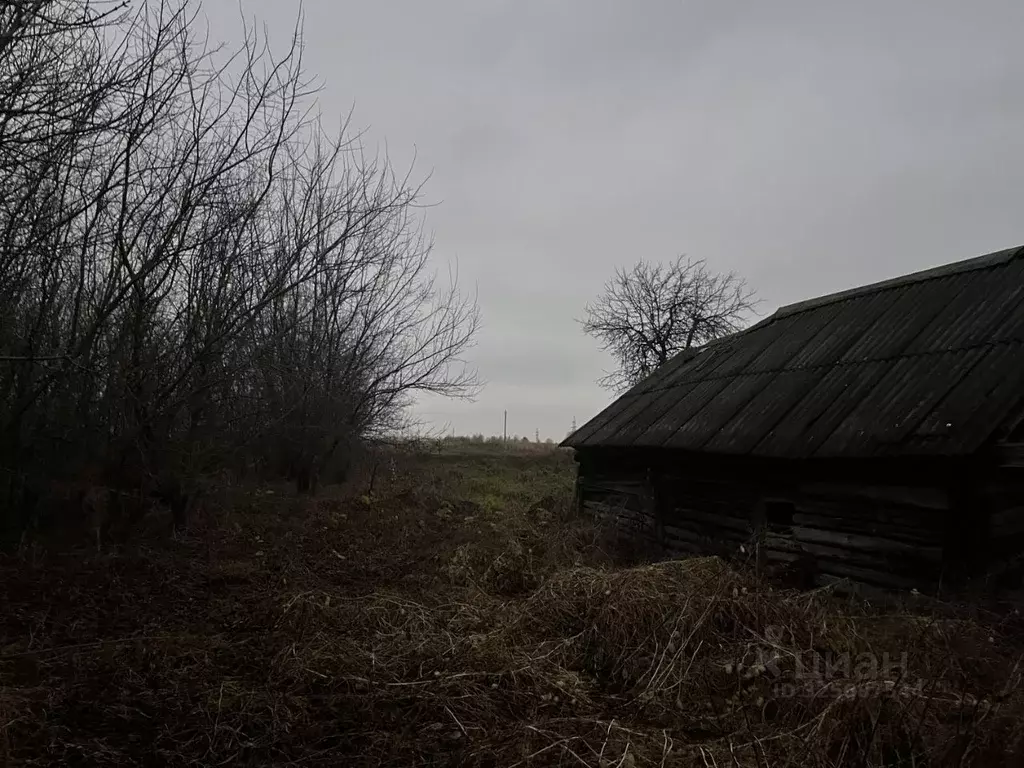 Участок в Брянская область, Почепский район, с. Первомайское ... - Фото 2