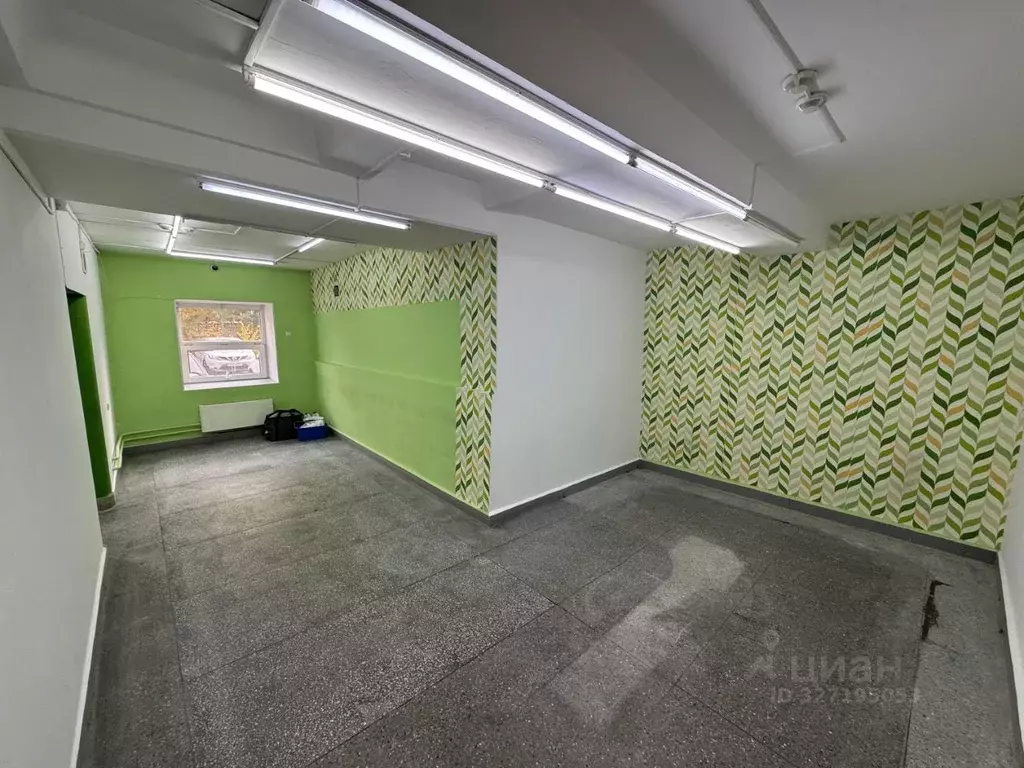 Торговая площадь в Новосибирская область, Новосибирск ул. Толстого, ... - Фото 2