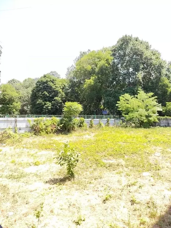 Участок в Краснодарский край, Анапа Терская ул. (6.0 сот.) - Фото 2