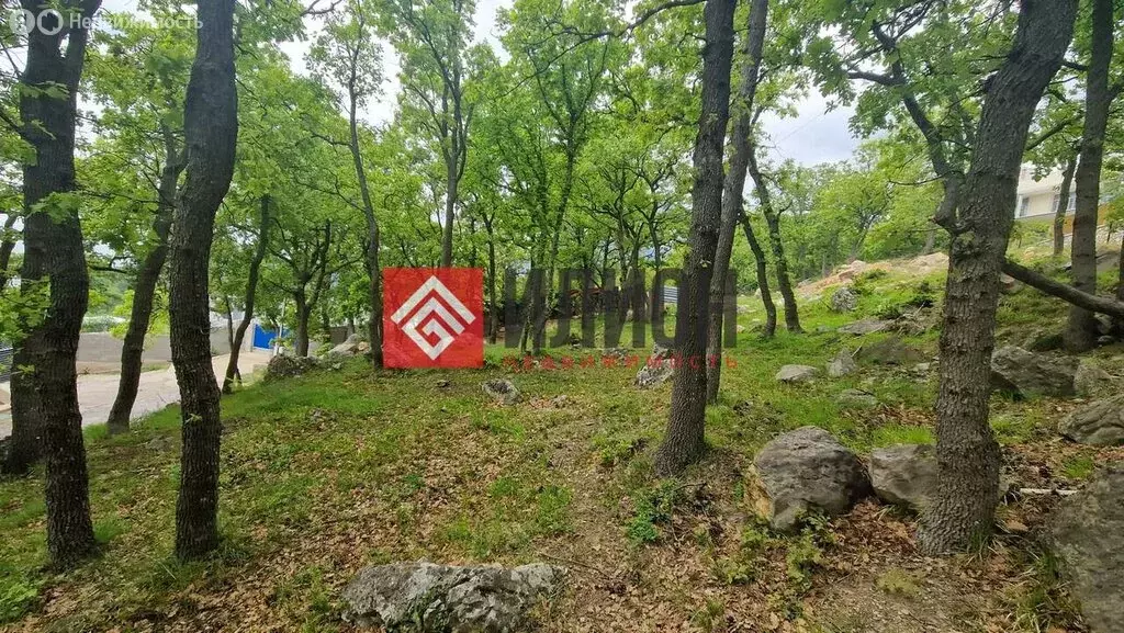 Участок в посёлок городского типа Гаспра, улица Горького, 26 (5 м) - Фото 1