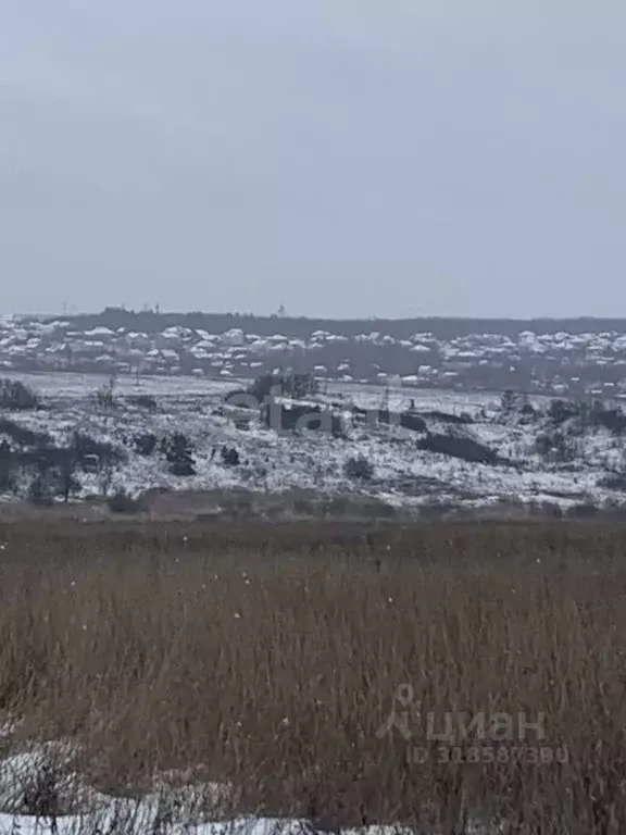 Участок в Белгородская область, Белгородский район, Головинское с/пос, ... - Фото 1