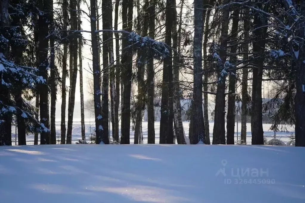 Участок в Московская область, Можайский муниципальный округ, ... - Фото 1