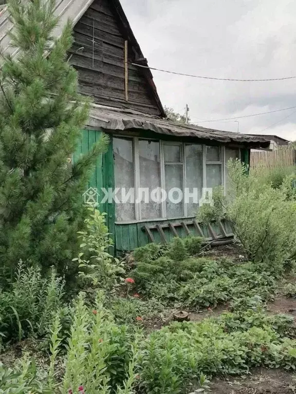 Участок в Кемеровская область, Белово ул. Новая Жизнь (12.0 сот.) - Фото 0