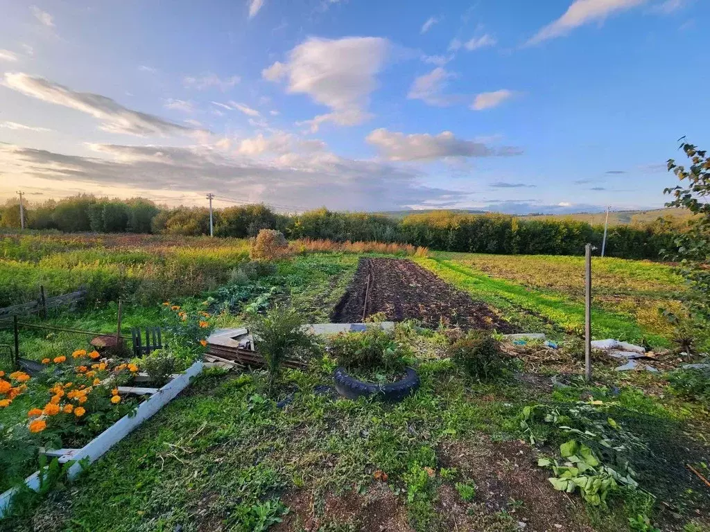 Участок в Кемеровская область, Новокузнецкий муниципальный округ, с. ... - Фото 1