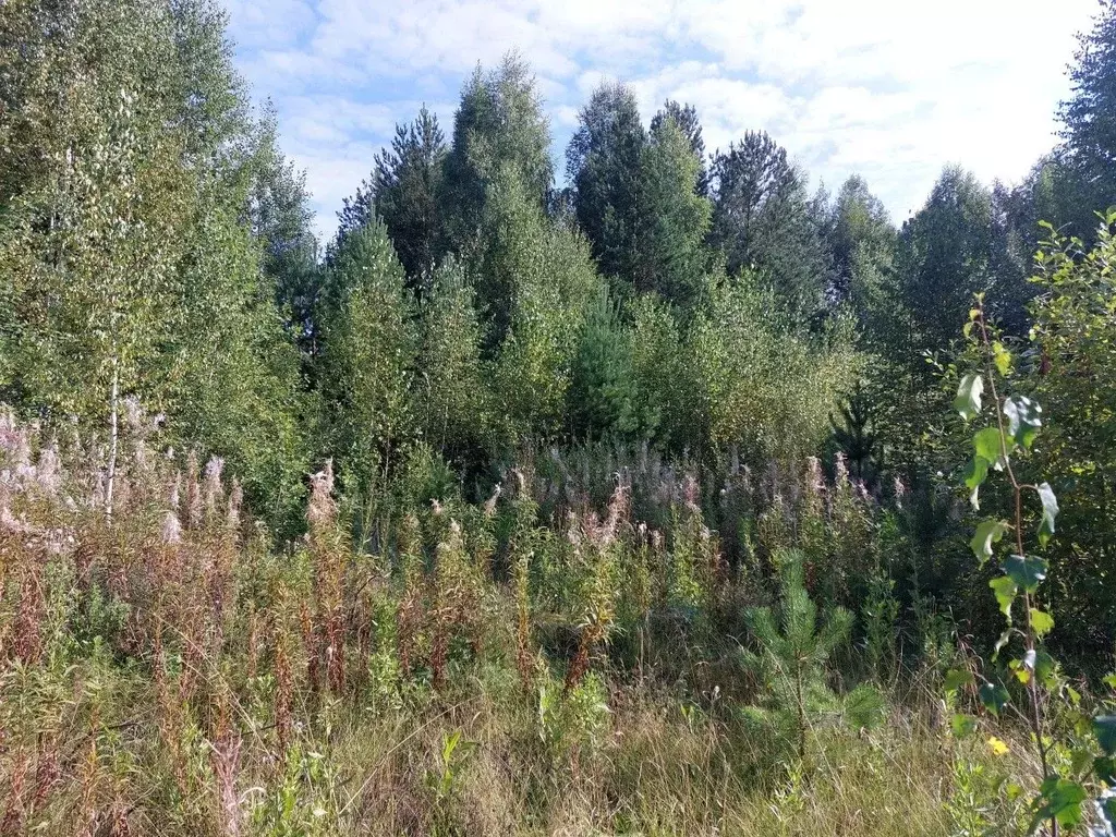 Участок в Свердловская область, Верхняя Пышма городской округ, пос. ... - Фото 2