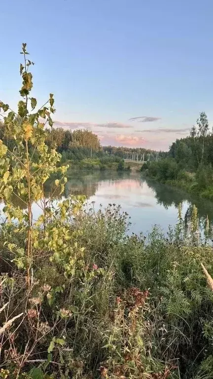 Участок в Владимирская область, Петушинский муниципальный округ, д. ... - Фото 2