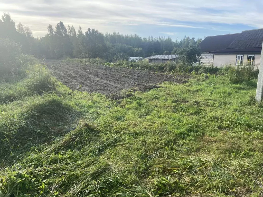 Участок в Московская область, Домодедово городской округ, д. Одинцово ... - Фото 0