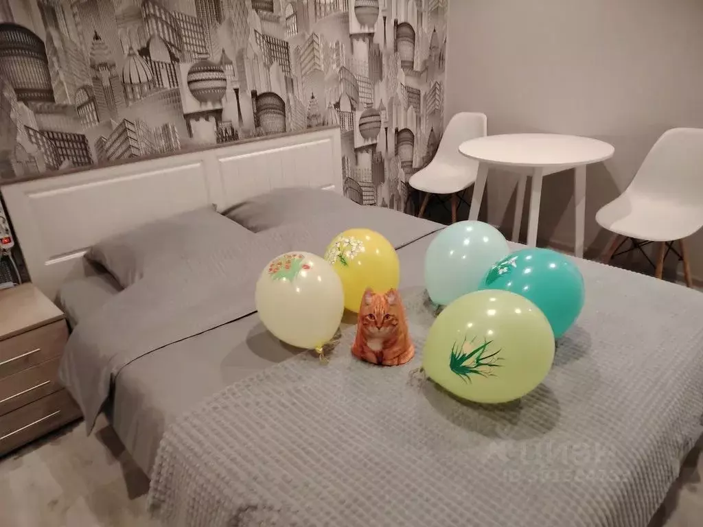 1-к кв. Ленинградская область, Выборг ул. Сторожевой Башни, 9 (23.0 м) - Фото 1