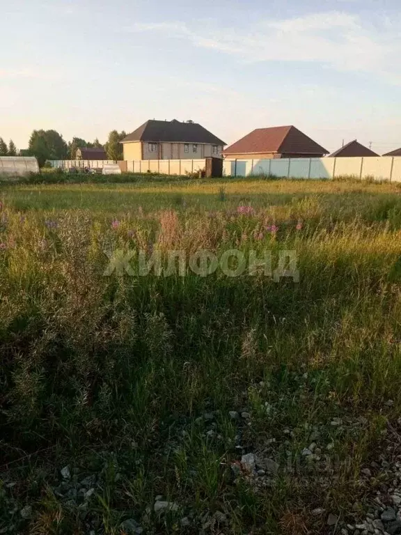 Участок в Новосибирская область, Новосибирский район, Морской ... - Фото 0