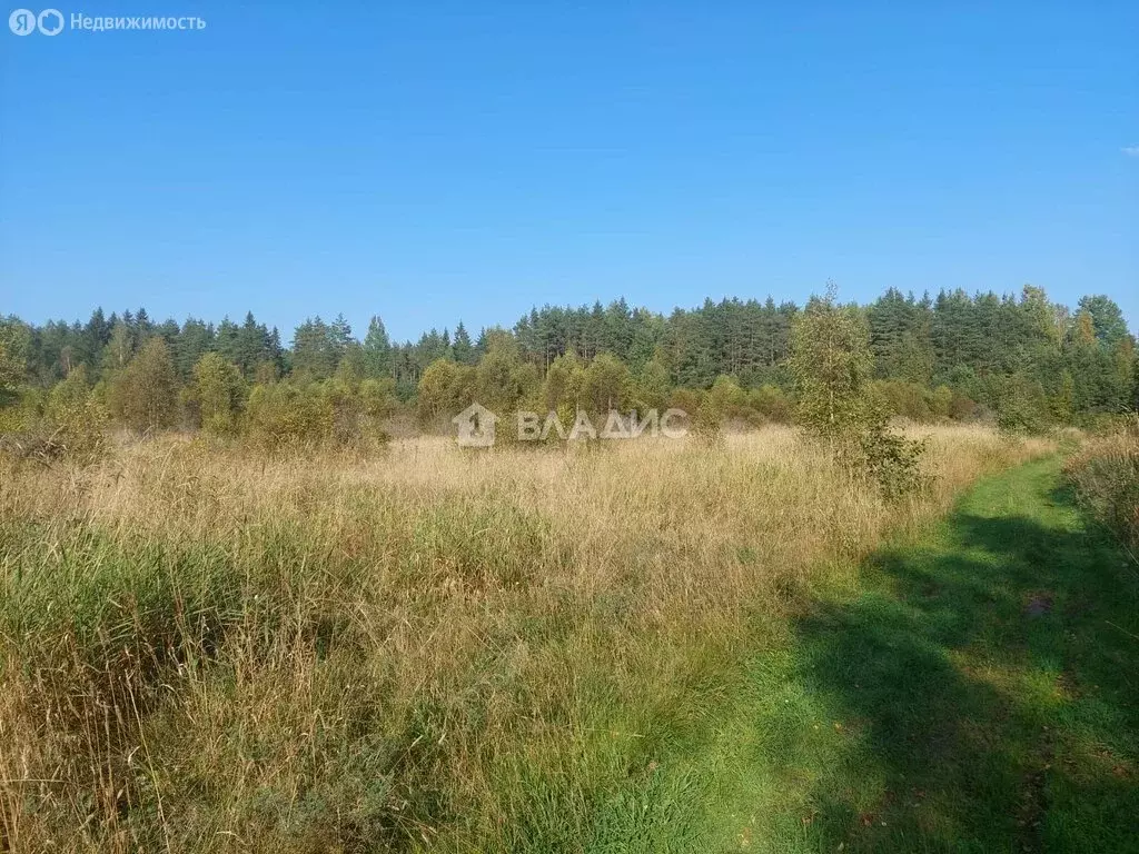 Участок в Выборгский район, Приморское городское поселение, посёлок ... - Фото 1