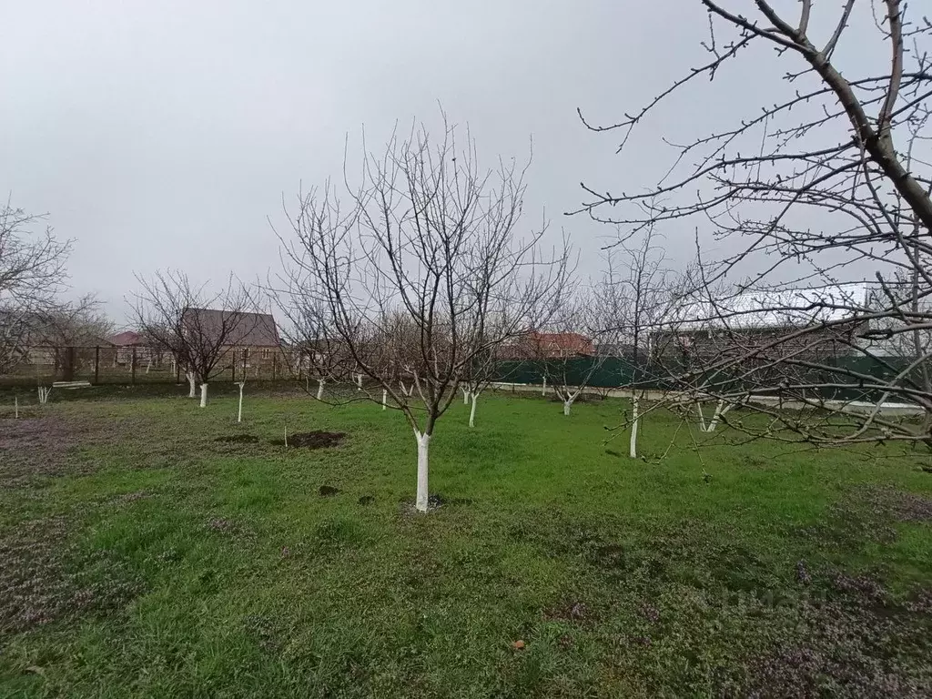 Участок в Адыгея, Тахтамукайский район, Козет аул Кольцевая ул. (6.5 ... - Фото 1