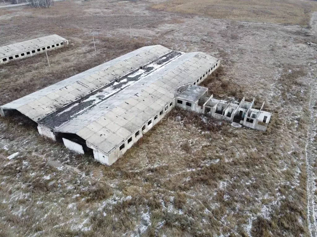 Производственное помещение в Новосибирская область, Мошковский район, ... - Фото 0