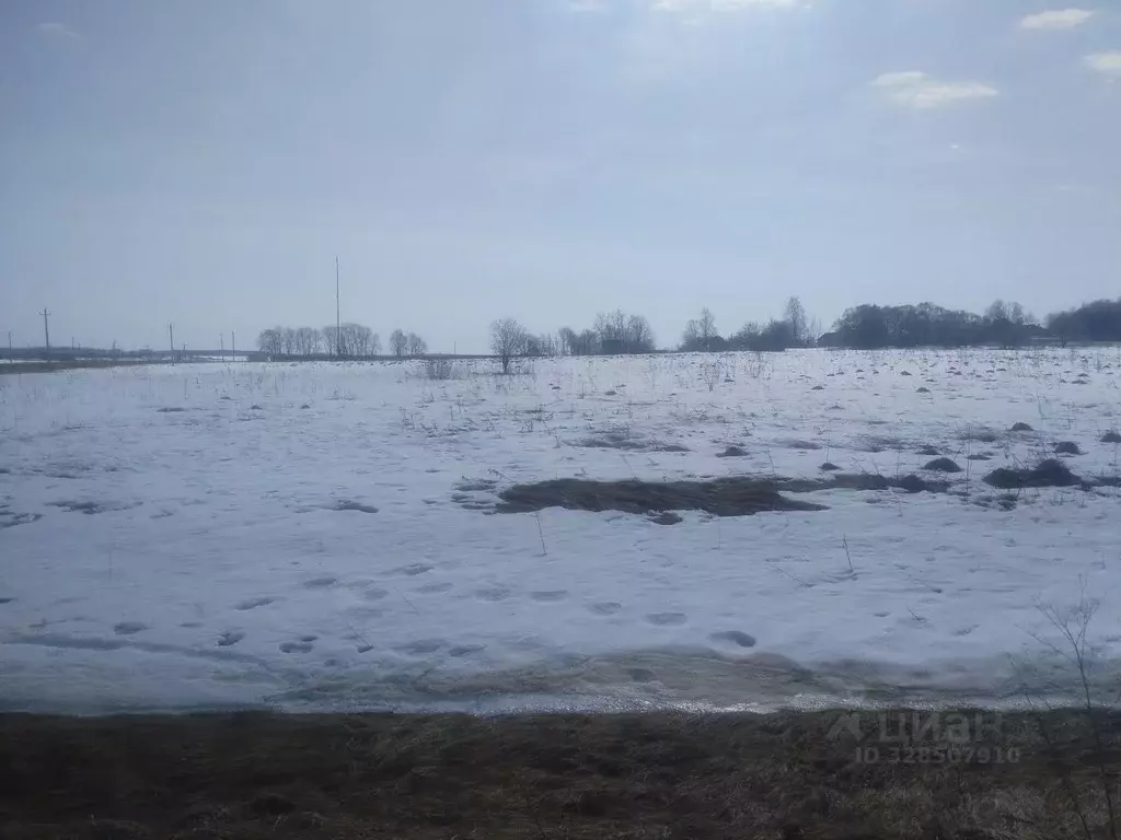 Участок в Московская область, Можайский муниципальный округ, д. Холм  ... - Фото 2