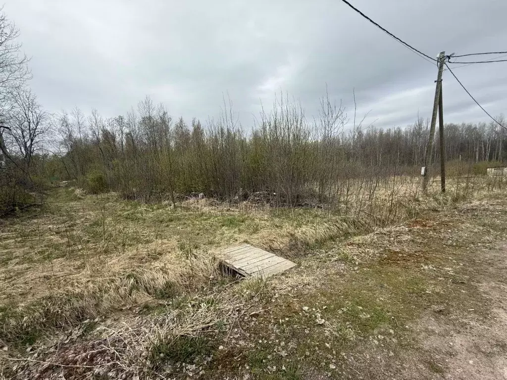 Участок в Ленинградская область, Выборгский район, Красносельское ... - Фото 1