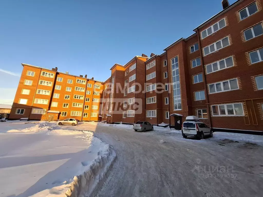 1-к кв. Оренбургская область, Бузулук ул. Челюскинцев, 73 (32.4 м) - Фото 2