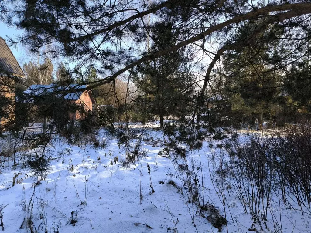 Участок в Московская область, Раменский городской округ, с. ... - Фото 1