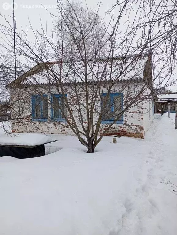 Дом в Калининский район, Ахтубинское муниципальное образование, село ... - Фото 2