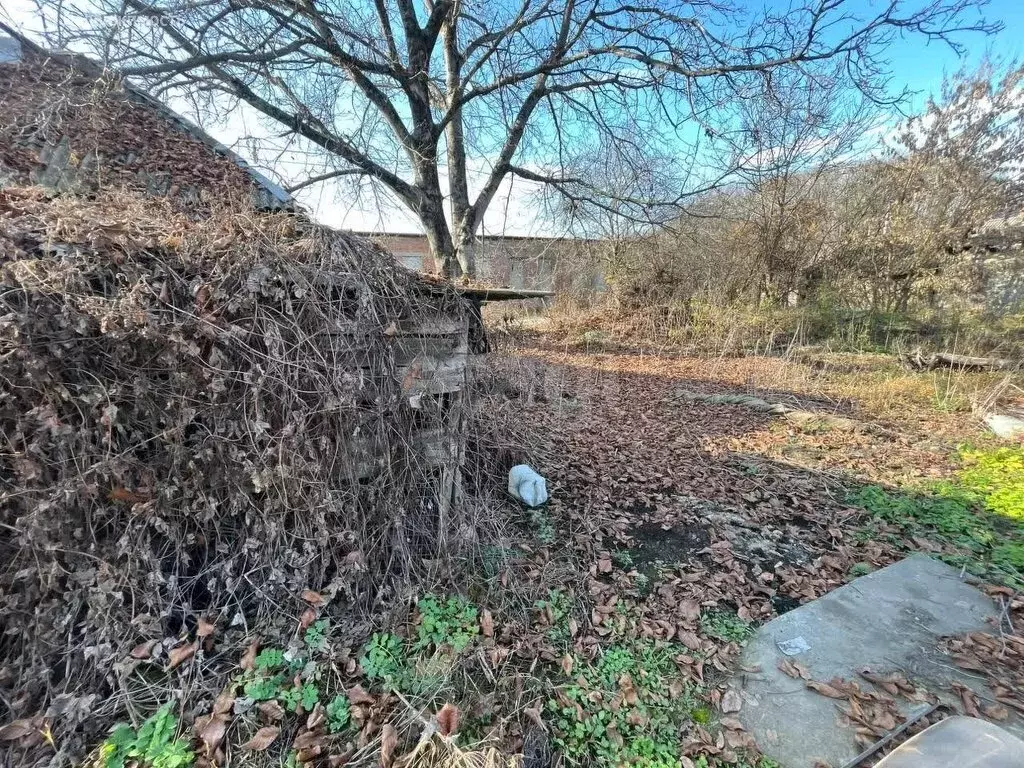 Участок в Архонская, Лесная улица (14 м) - Фото 2