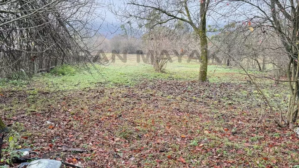 Участок в Адыгея, Майкопский район, Даховское с/пос, с. Хамышки ул. ... - Фото 1