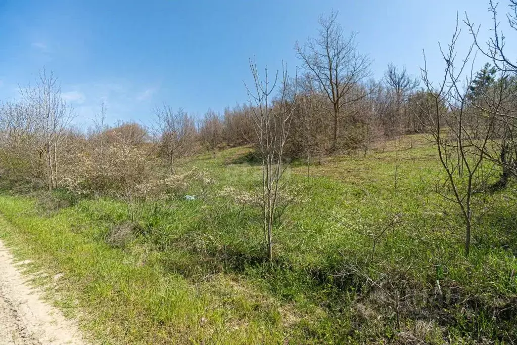 Участок в Севастополь с. Пироговка, СНТ Надежда-Таврида ТСН, 88 (12.0 ... - Фото 1