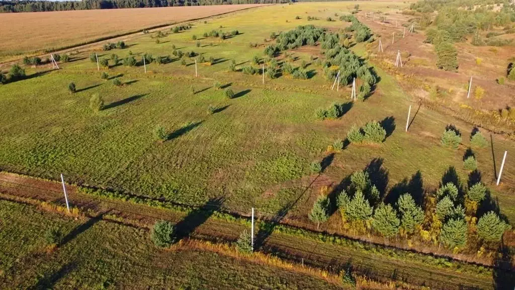 Участок в Тульская область, Заокский район, Малаховское с/пос, д. ... - Фото 2