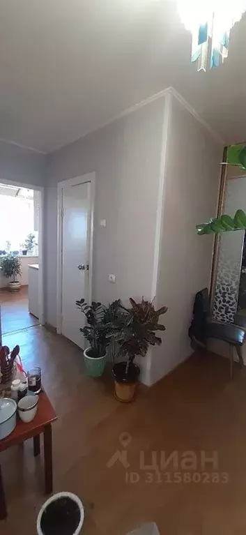 Комната Амурская область, Благовещенск Зейская ул., 201 (12.0 м) - Фото 2