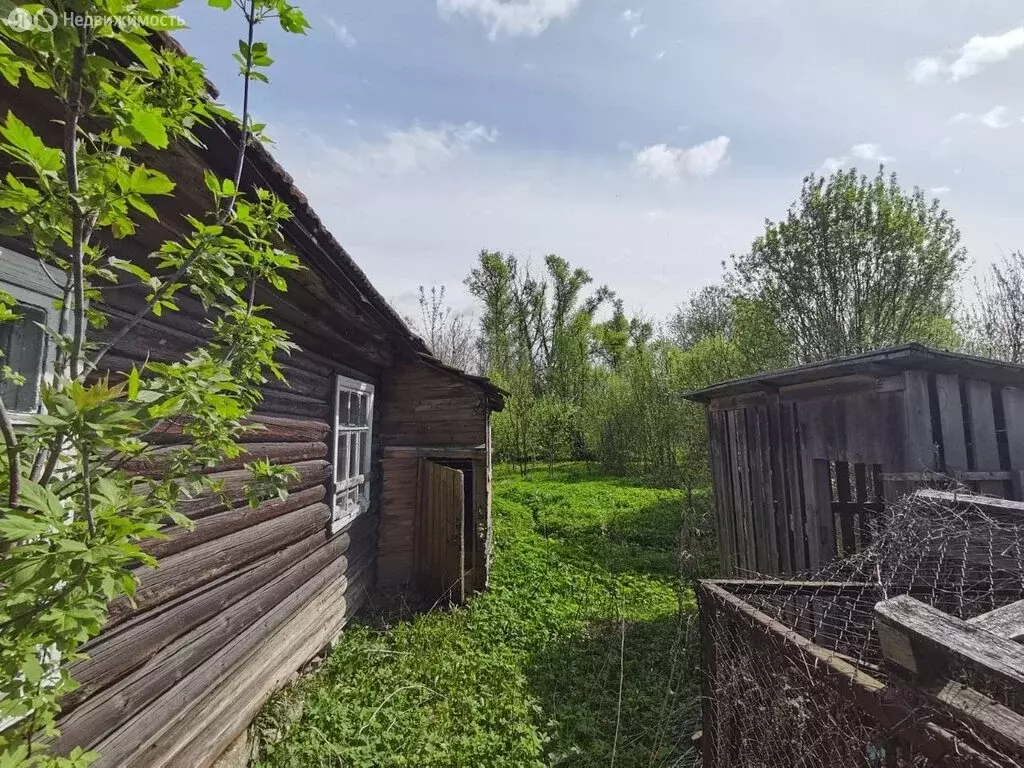 Участок в Крестцы, улица Гагарина, 30 (10 м) - Фото 0