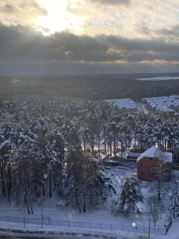 Студия Московская область, Домодедово Южный мкр, ул. Курыжова, 30 ... - Фото 2
