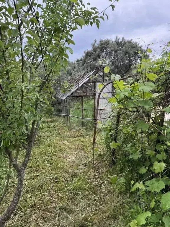 Участок в Костромская область, Кострома Юбилейный СНТ, ул. 8-я (5.0 ... - Фото 0