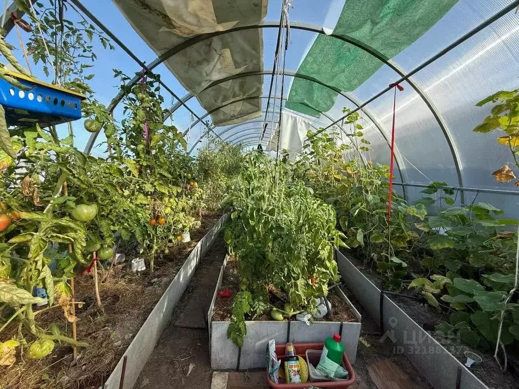 Дом в Ярославская область, Ярославский муниципальный округ, Сабельницы ... - Фото 1