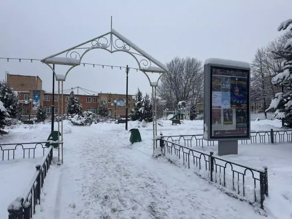 1-к кв. Московская область, Одинцовский городской округ, с. Саввинская ... - Фото 1