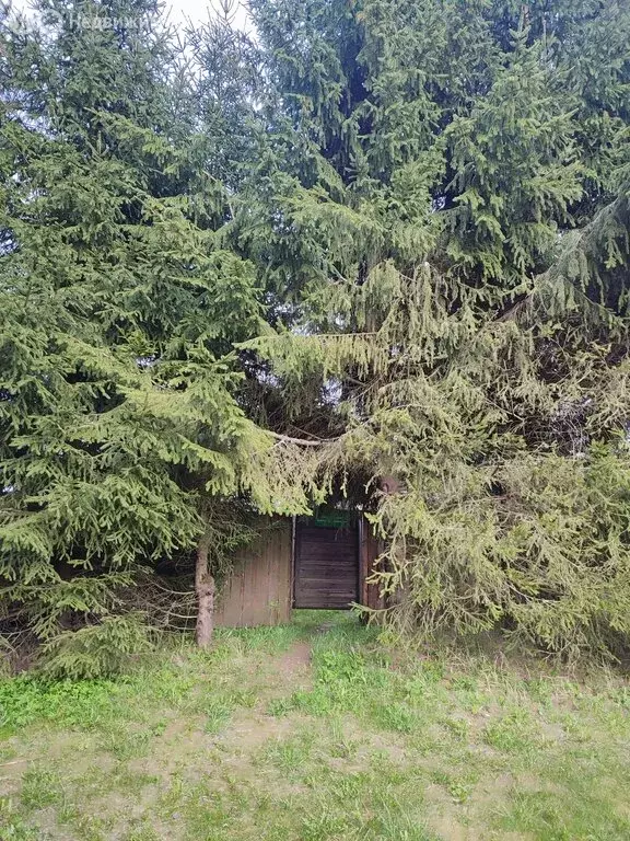 Дом в Псковский район, Карамышевская волость, деревня Гниловец (44 м) - Фото 2