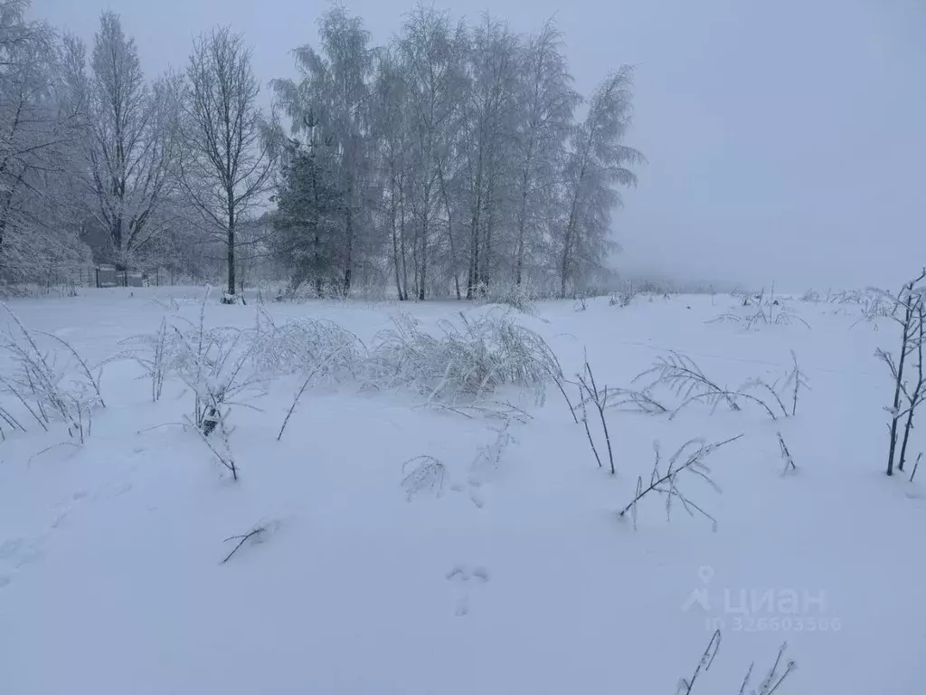 Участок в Московская область, Клин городской округ, д. Княгинино ул. ... - Фото 1