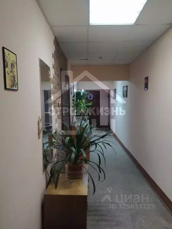 2-к кв. Свердловская область, Екатеринбург ул. Фрунзе, 58 (48.1 м) - Фото 2