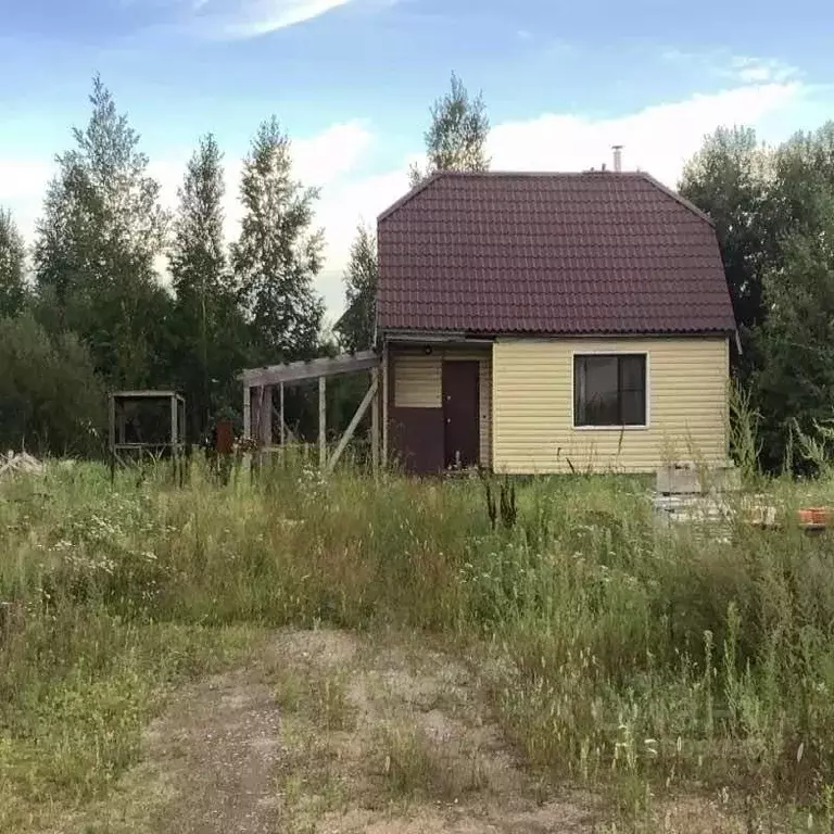 Дом в Хабаровский край, Хабаровский район, с. Мирное Клубная ул., 15 ... - Фото 0