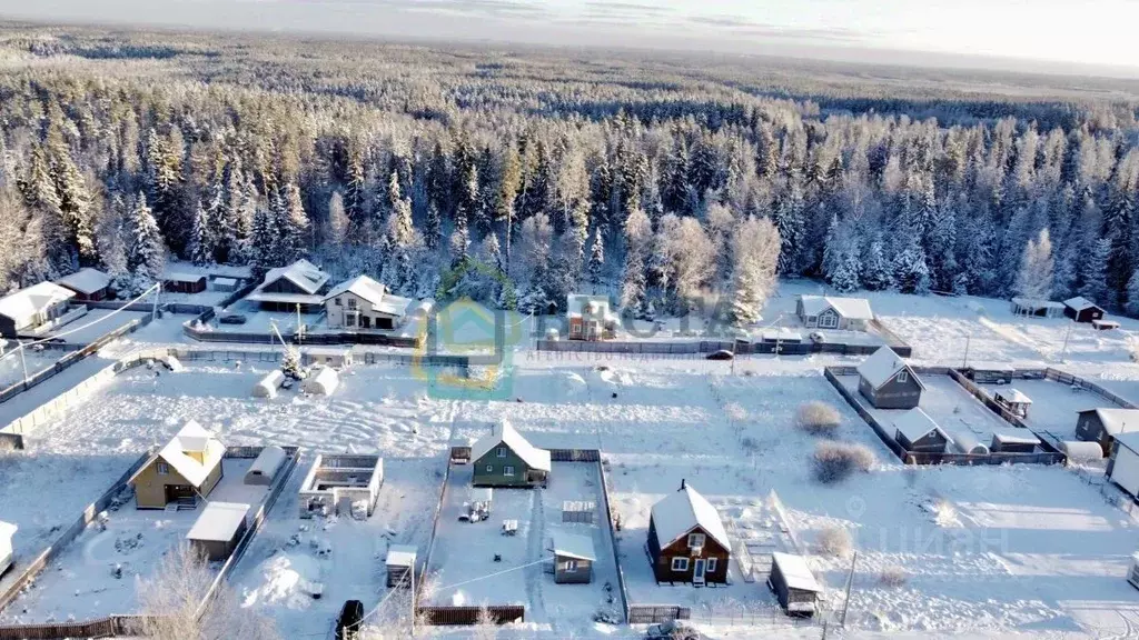 Участок в Ленинградская область, Выборгский район, Рощинское городское ... - Фото 2