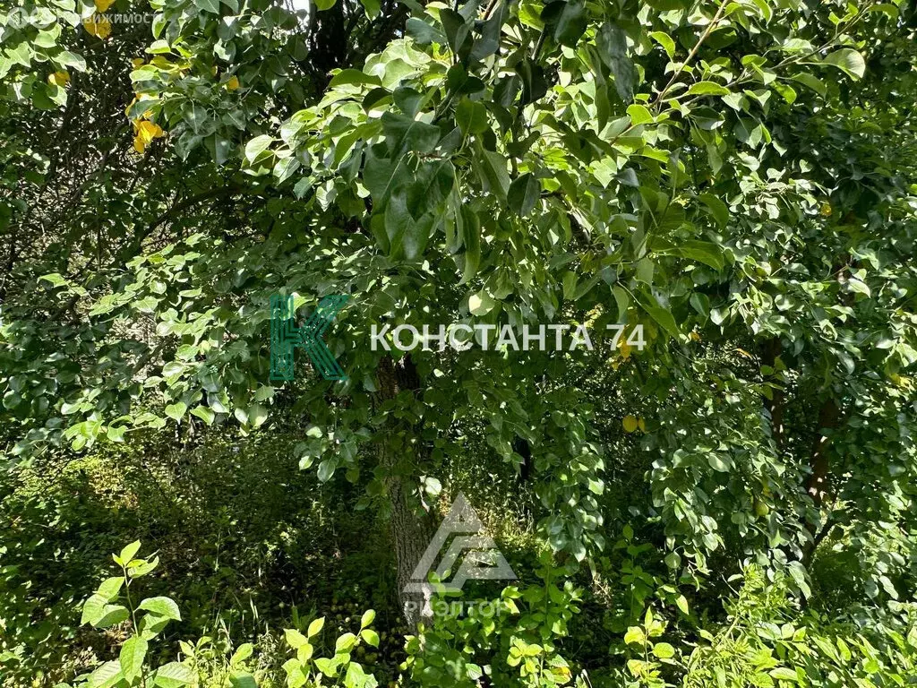 Купить Участок Снт Янтарь