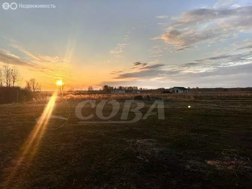 Участок в Тюменский район, деревня Елань (8 м) - Фото 1