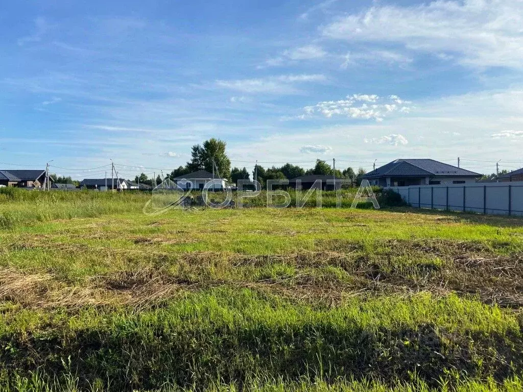 Участок в Тюменская область, Тюмень СОСН Березовое Озеро тер., ул. ... - Фото 2