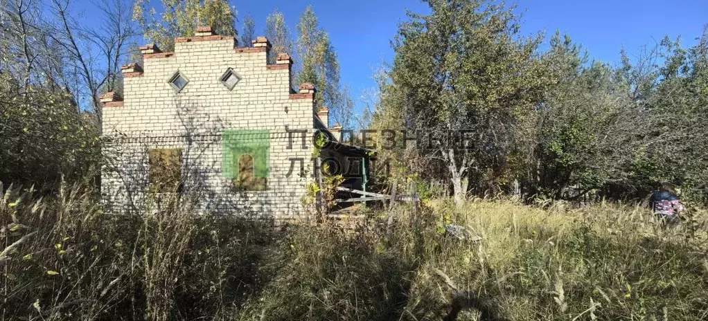 Участок в Самарская область, Сызранский район, Варламово с/пос, ... - Фото 2