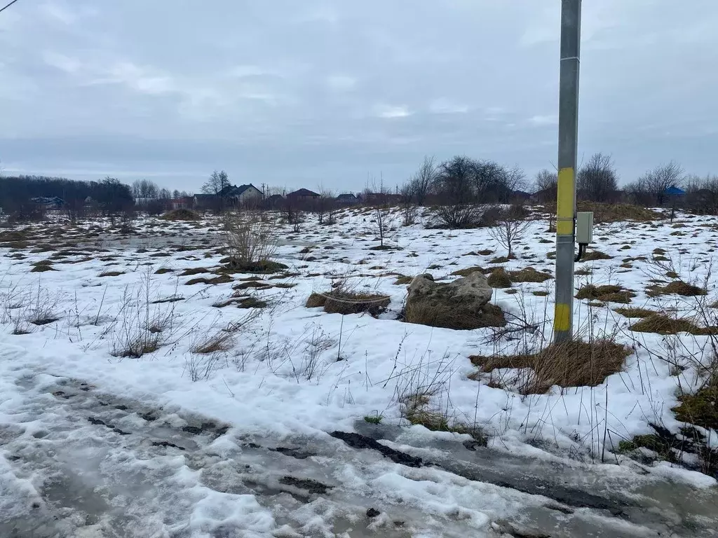 Участок в Калининградская область, Гурьевский муниципальный округ, ... - Фото 1