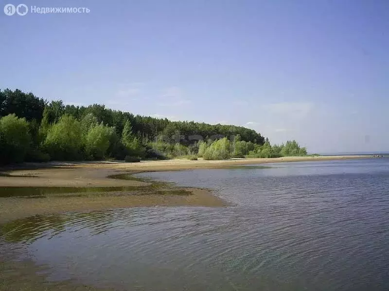 Участок в Ульяновская область, Старомайнский муниципальный округ, СНТ ... - Фото 2