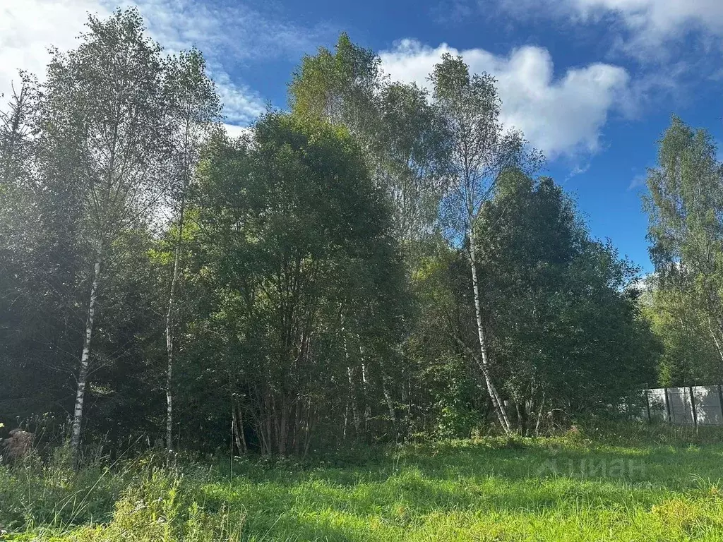 Участок в Московская область, Истра муниципальный округ, д. Троица ул. ... - Фото 2