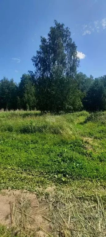 Участок в Московская область, Шатура муниципальный округ, с. ... - Фото 1