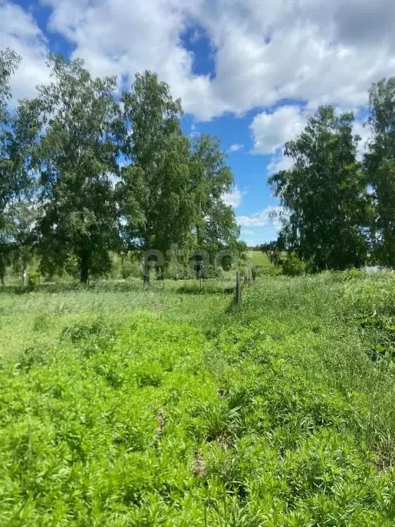 Участок в Новосибирская область, Новосибирский район, Станционный ... - Фото 1